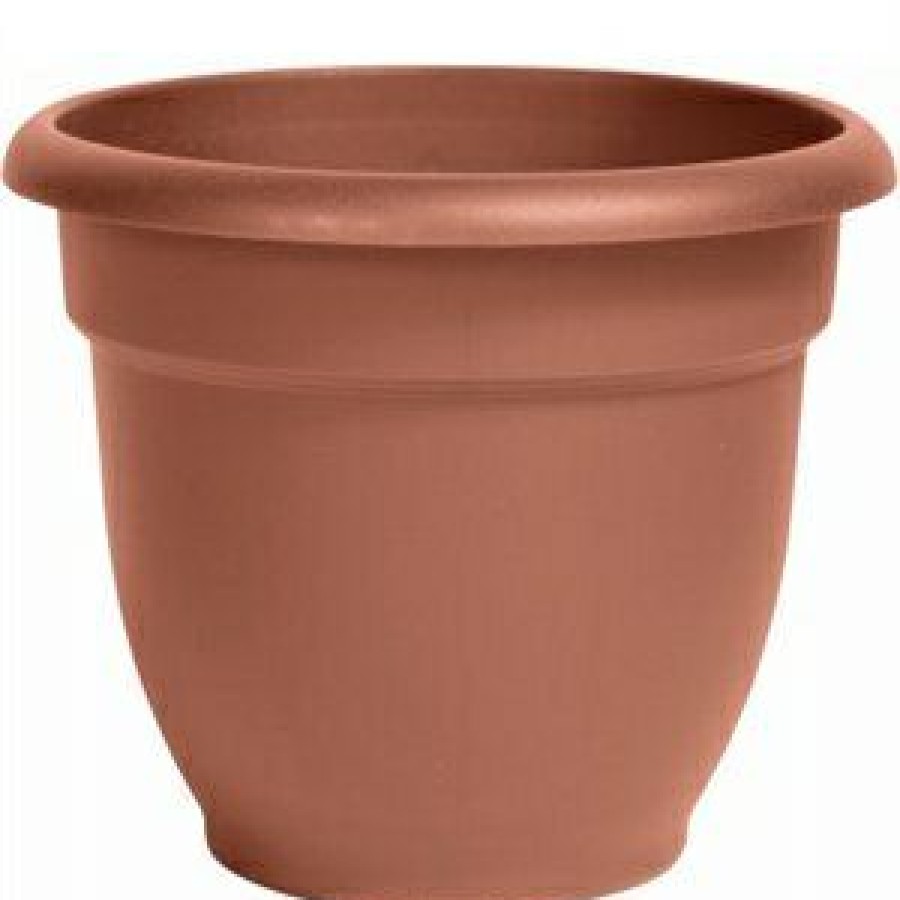 Lawn & Garden * | Bloem Hot Selling Ariana Planter, Plastic, Self-Watering, Bell Shape, Terra Cotta, 12-In.