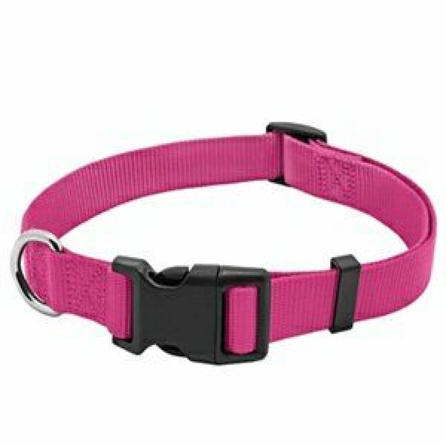 Pet Supplies * | Pet Expert Best Quality Dog Collar, Adjustable, Pink Nylon, Quadlock Buckle, 1 X 18 To 26-In.