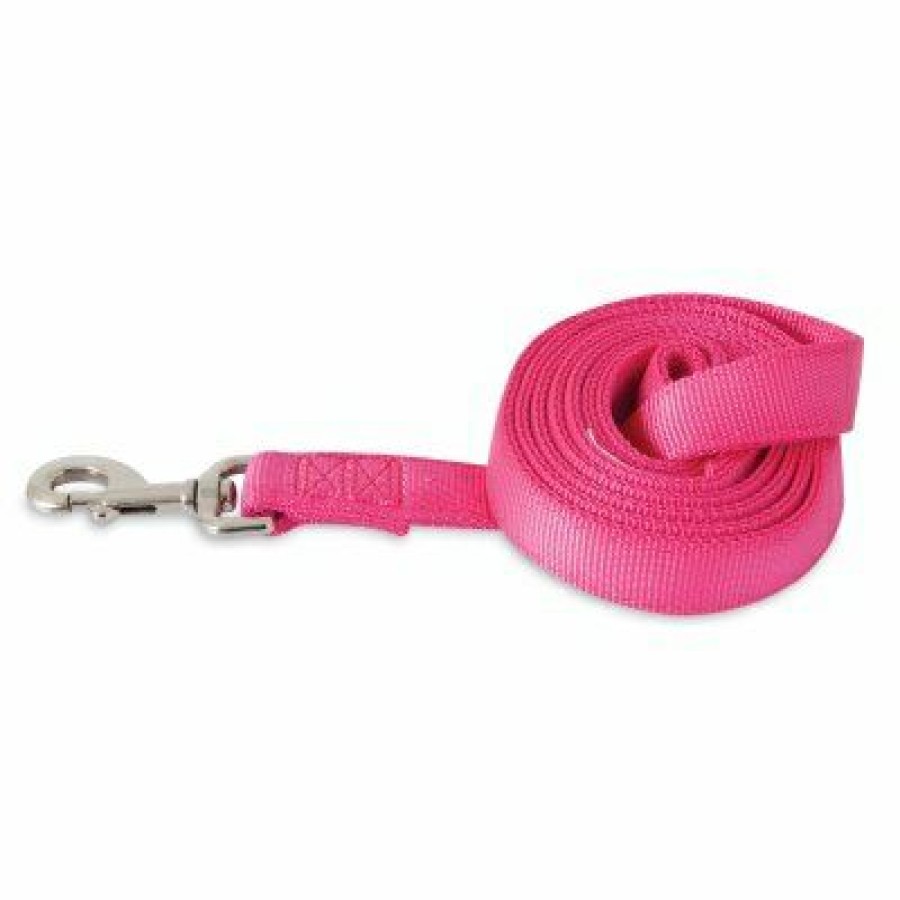 Pet Supplies * | Petmate Quick Delivery Dog Leash, Hot Pink, 2 Ply 1-In. X 6-Ft.