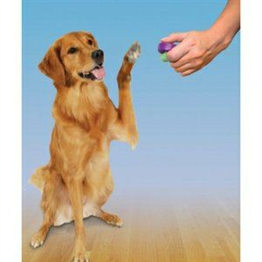 Pet Supplies * | Petsafe Hot Selling Clik-R Trainer