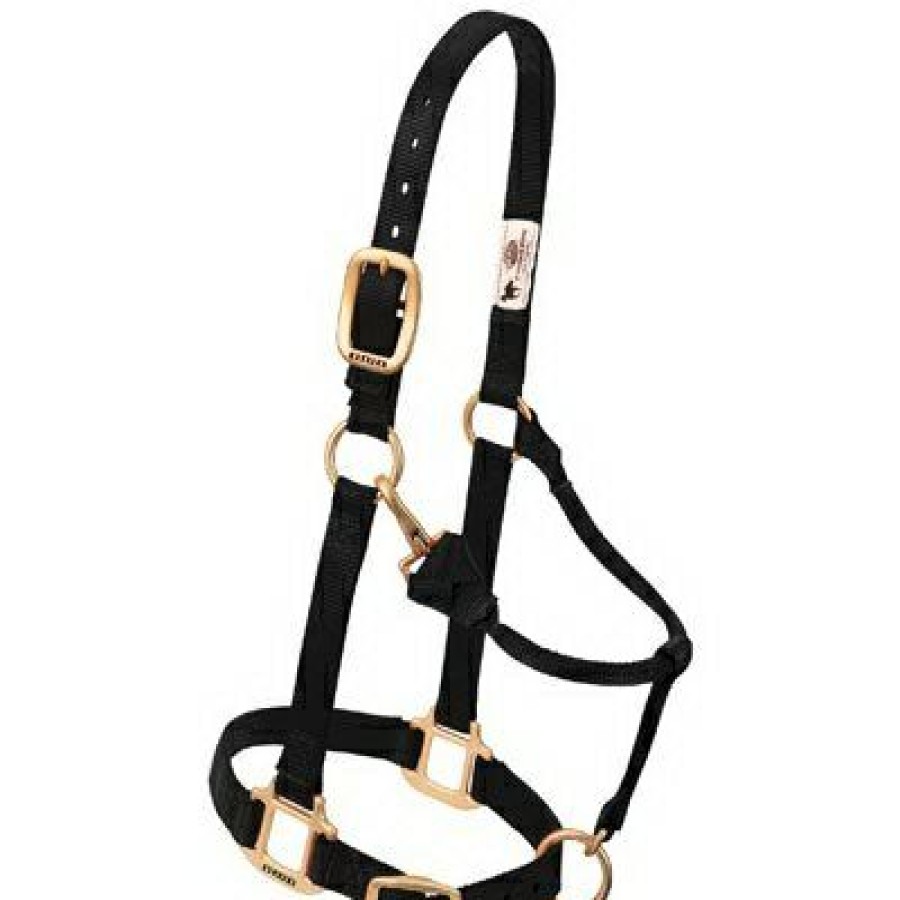 Farm & Ranch * | Weaver Leather Quick Delivery Horse Halter, Snap, Black Nylon, 1-In., Large/2-Year Draft