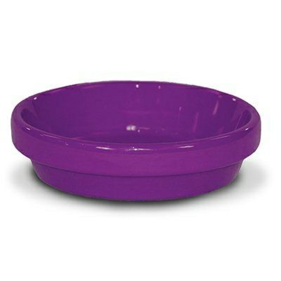 Lawn & Garden * | Ceramo Cheaper Saucer, Violet Ceramic, 5.75 X .75-In.